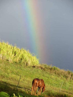 Waipio Studio Apartment